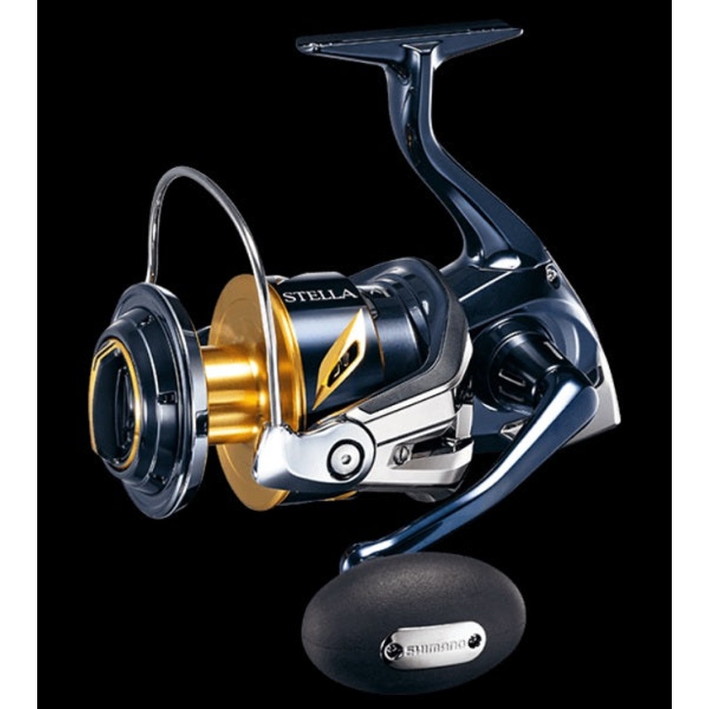 Shimano 19 Stella SW 10000PG