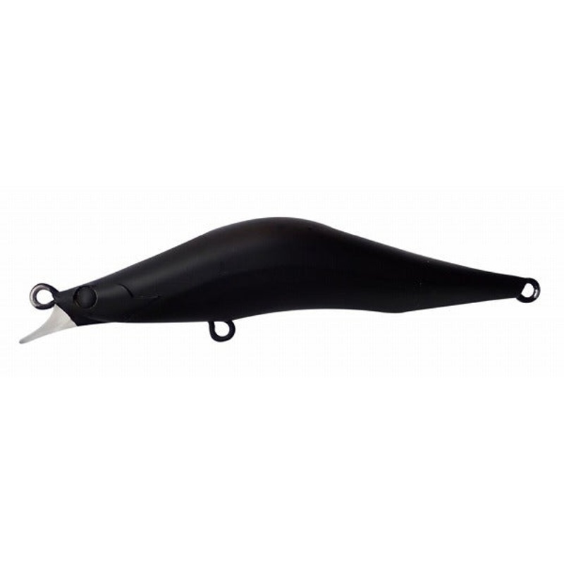 Blaze eye Seabass Lure Evoroots 99DS #16 Melaneum Black