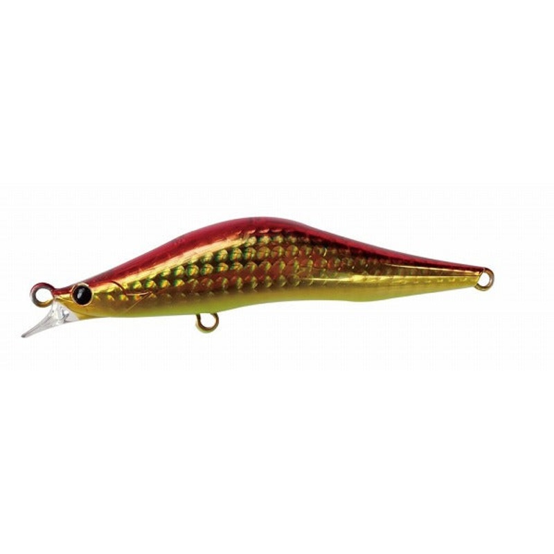 Blaze eye Seabass Lure Evoroots 99DS #62 Red Lotus Chartberry