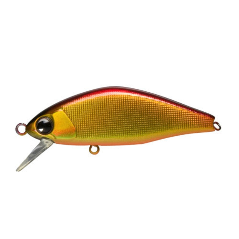 AMS Design (ima) issen 45S #IS45-101 Red/Gold